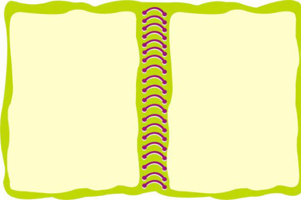 [诚信城市宣传口号揭晓]城市宣传口号：诚信，刚毅，自主，拓新！